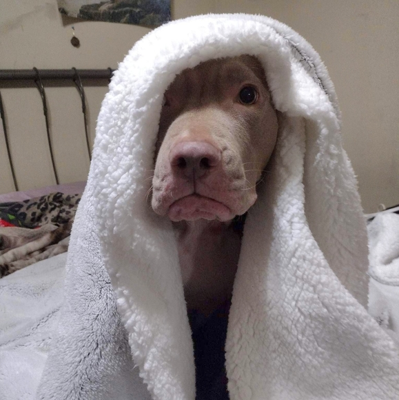 Meet your Posher, Adrian - Picture 2 of 2